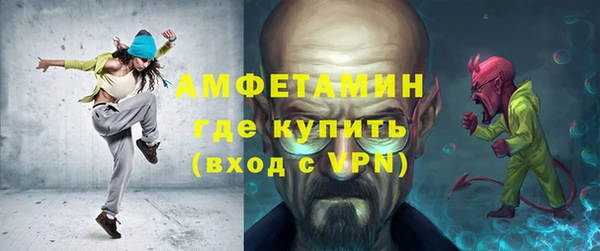 индика Горнозаводск