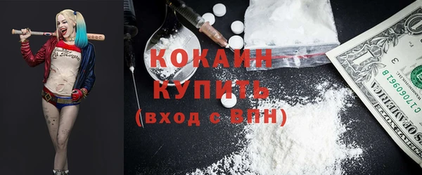 ALPHA PVP Новозыбков