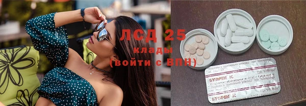 крисы Новокубанск